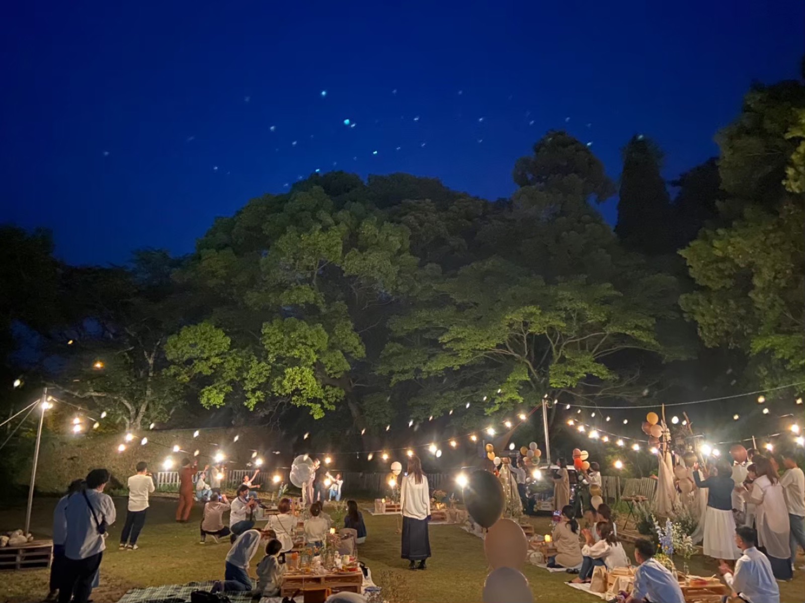 夜のガーデンパーティ